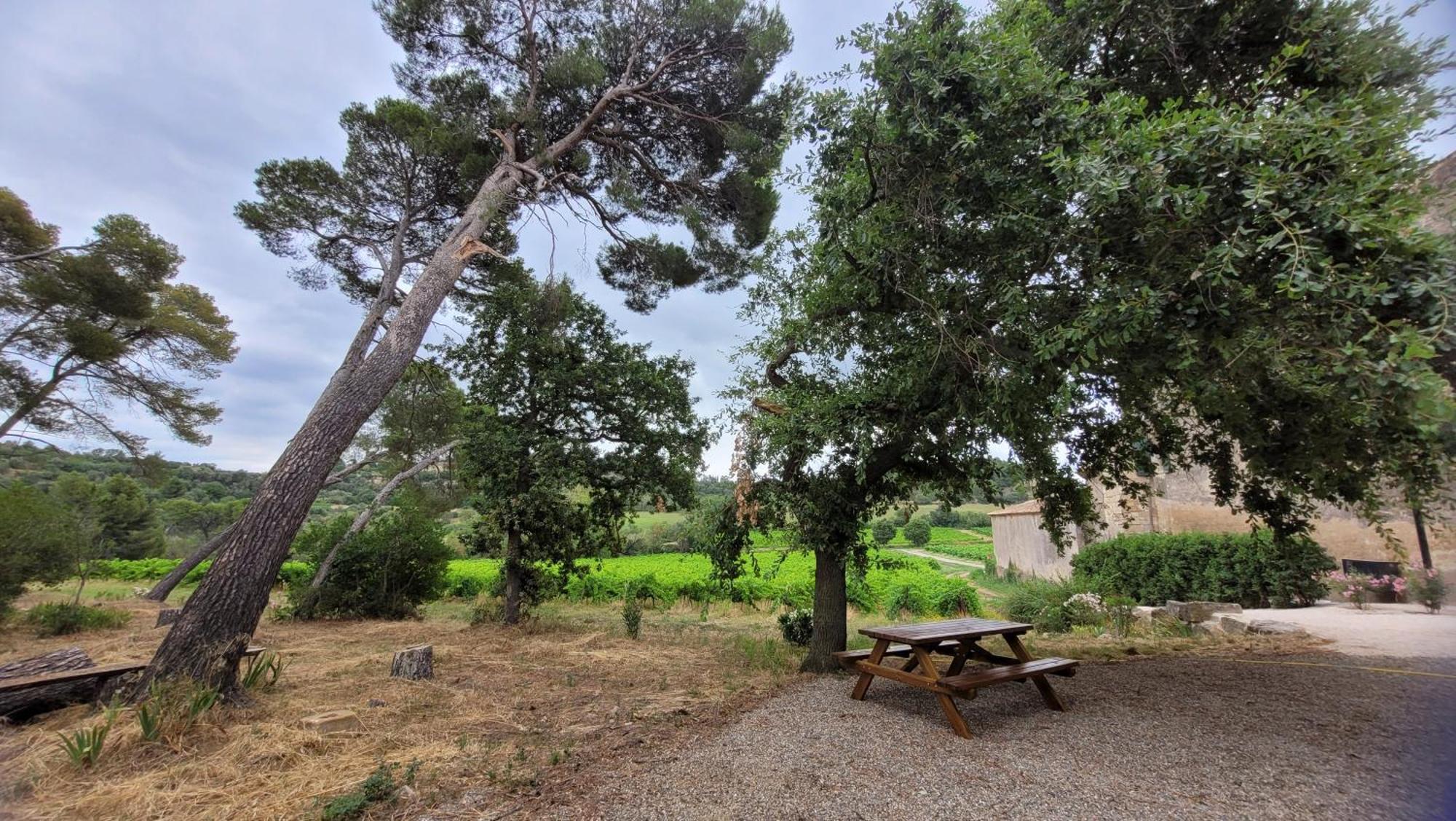 La Pinede, Logement Privatif Au Chateau Aumes Exterior foto