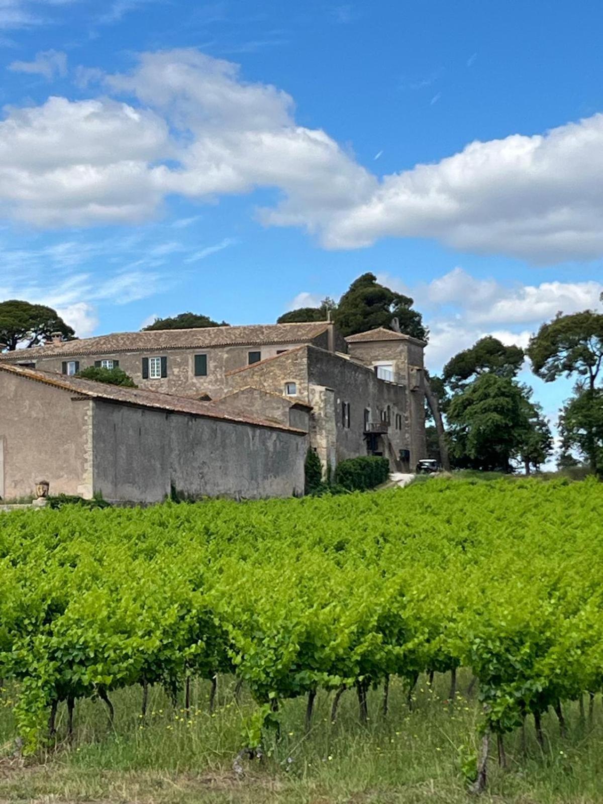 La Pinede, Logement Privatif Au Chateau Aumes Exterior foto